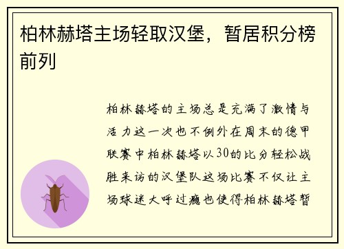 柏林赫塔主场轻取汉堡，暂居积分榜前列