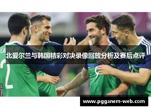 北爱尔兰与韩国精彩对决录像回放分析及赛后点评