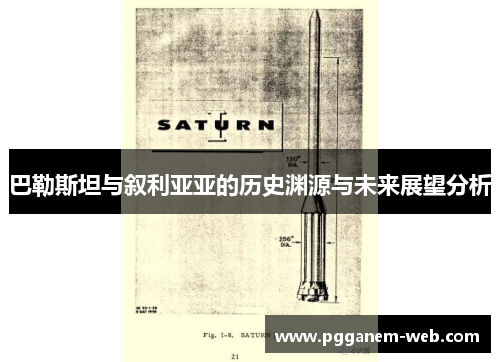 巴勒斯坦与叙利亚亚的历史渊源与未来展望分析