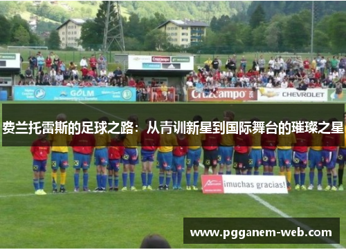 费兰托雷斯的足球之路：从青训新星到国际舞台的璀璨之星